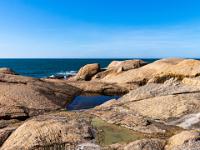 Grasbüschel und Wasserlachen auf flacher Granitküste am Atlantik
